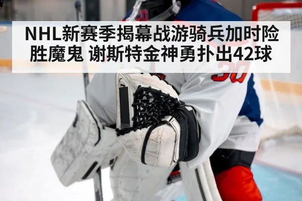 ice hockey goalie save