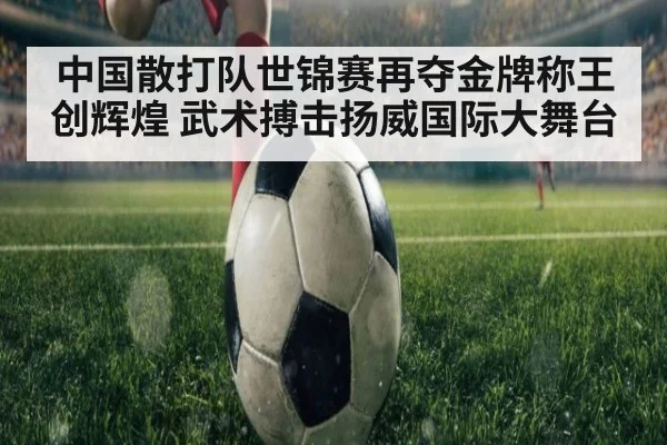 中国散打队世锦赛再夺金牌称王创辉煌 武术搏击扬威国际大舞台